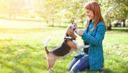 How to choose a nickname for a dog-boy?