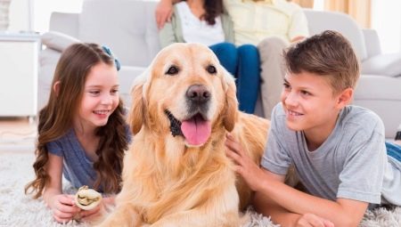 How to choose a dog?