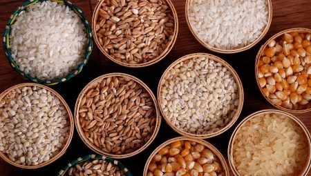 What kind of cereals can be given to dogs?