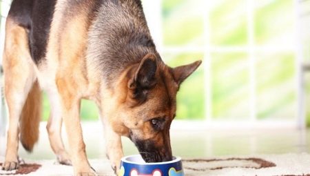 Alimentación del pastor