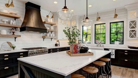 Kitchen with an island: features and interesting examples