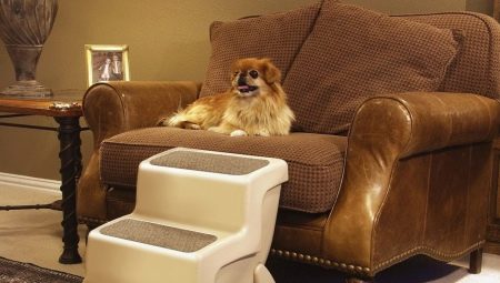 Stairs for dogs: what is it and how to choose?