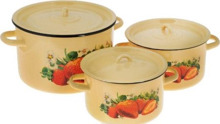 Enamel pan sets: types and nuances of choice