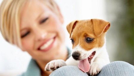 Overview of dog nicknames with the letter T