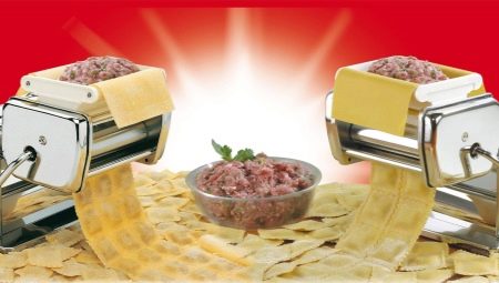 เกี๊ยว: ประเภทภาพรวมของแบบจำลองและคุณสมบัติที่เลือก