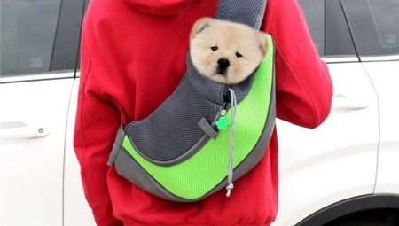 Carrying a backpack for dogs: description, selection criteria and use