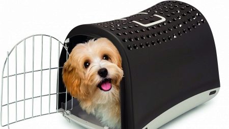 Carrying for dogs: purpose and types