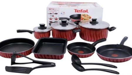 Tefal cookware: a variety of models