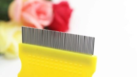 Dog combs: variety of species and features of choice