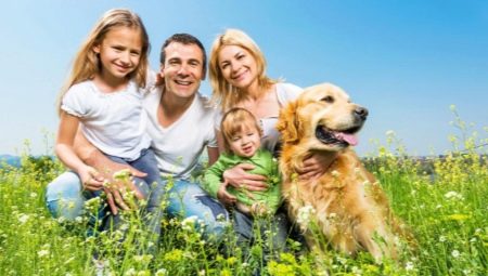 The calmest breeds of dogs and rules for their maintenance