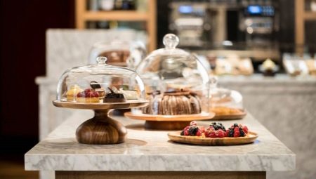 Plates with a lid: features of flares and rams, tips for their choice