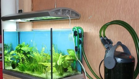 External filters for the aquarium: device, selection and installation
