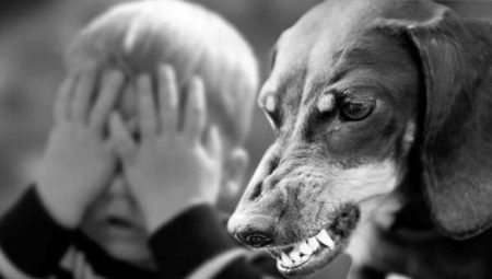 All about kinophobia