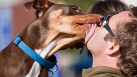 Why get a dog and what you need to know about her?