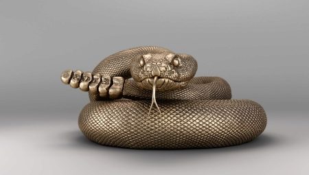 1941 - what year of the animal and what is it characterized by?