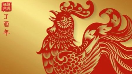 1981 - ما هو الحيوان وما هي صفاته؟