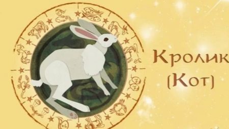 1987 - the year of which animal and what is characteristic of it?