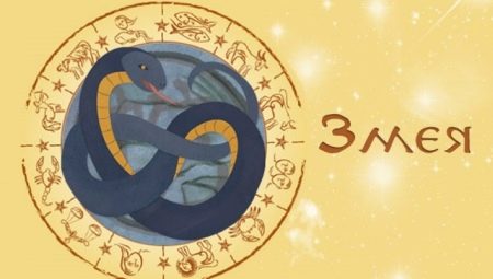 1989 - the year of which animal and what is characteristic of it?