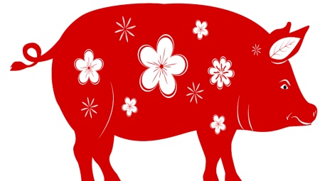 1995 - the year of which animal and what is characteristic of it?