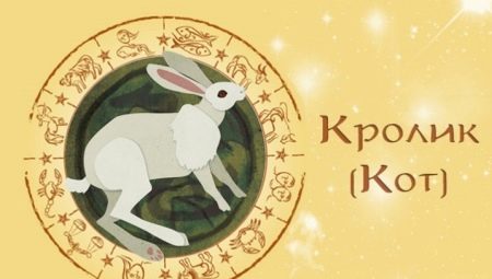 1999 is the year of which animal and what does it mean?