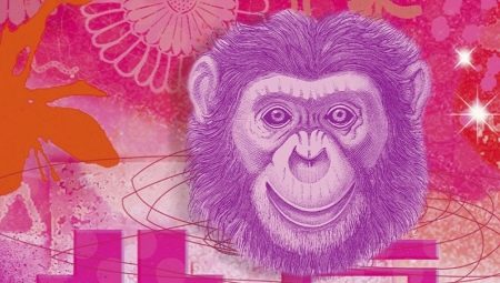 2004 - the year of which animal and what are its features?