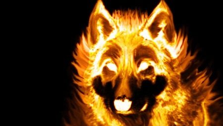 2006 - the year of which animal and what is it characterized by?