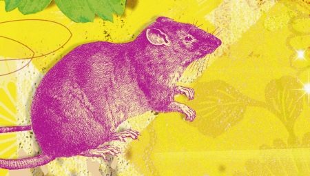 2008 is the year of which animal and what does it mean?