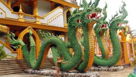 2024 - what year of the animal and what does it mean?