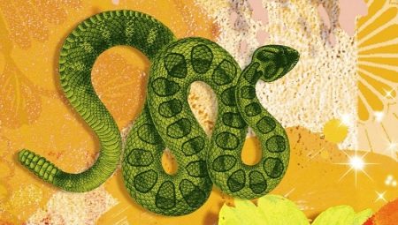 2025 - what year of the animal and what does it mean?