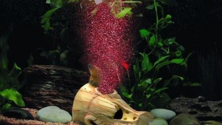 Aeration of water in an aquarium: methods and rules