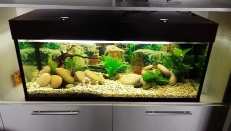 Aquarium of 150 liters: sizes, lighting and selection of fish