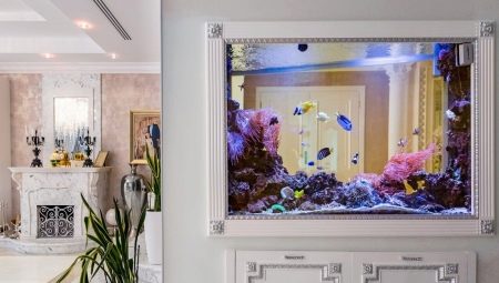 Aquariums in the wall: varieties and design recommendations