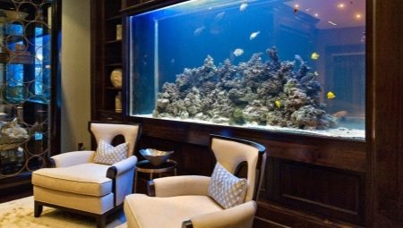 Large aquariums: how to start and design?