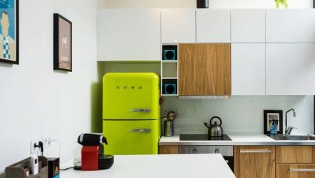 Design of a small kitchen with a fridge