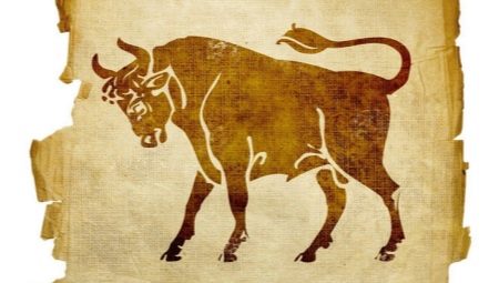 Year of the Bull: characterization, dates and compatibility