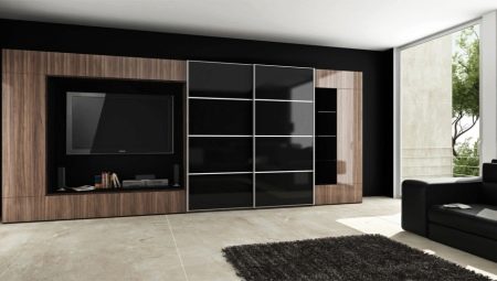 Modern style living cabinets: views and choices