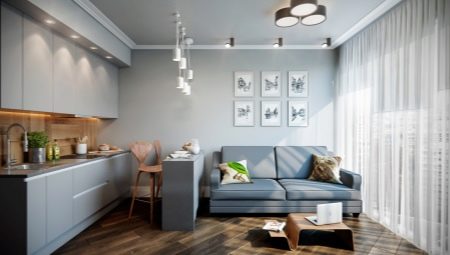 Design ideas for the kitchen-living room 14 sq. m