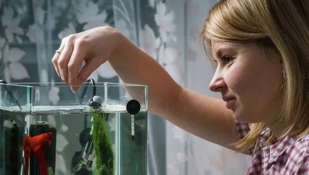 Kaip maitinti žuvis akvariume?