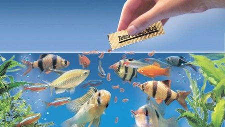 How to feed dry fish food in an aquarium?