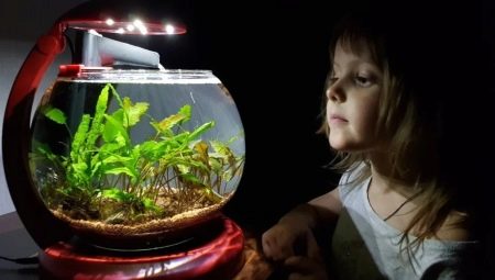 How to choose a filter for a round aquarium?
