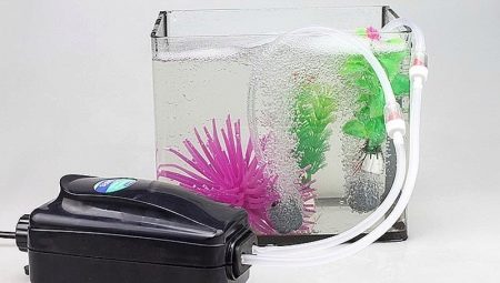 Aquarium compressors: what is it for, how to choose and install?