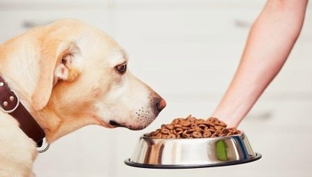 Feed for sterilized and neutered dogs