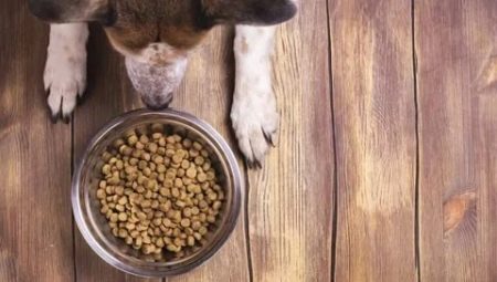 Low Protein Feed for Dogs