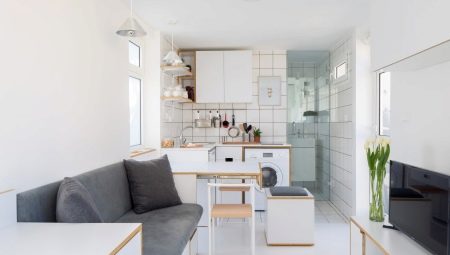 Kitchen for a mini-studio: interior design ideas