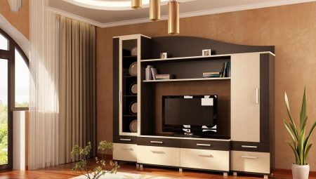 Mini-slides in the living room: an overview of the species and the rules of choice