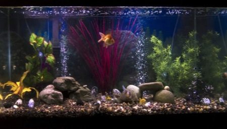 Can I turn off the compressor in the aquarium at night?