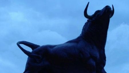 Male Bull: years of birth, characteristics and compatibility