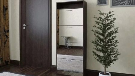 Shoeboxes with a mirror in the hallway: types and tips for choosing
