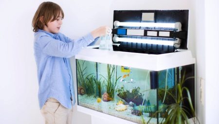Features of fish and aquarium care