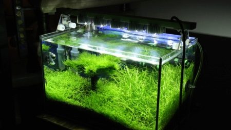 Aquarium Lighting: Selecting and Using Lamps